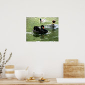 Vogels in het water poster (Keuken)