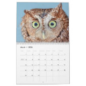 Vogels in het wild 2026 kalender (Mar 2026)