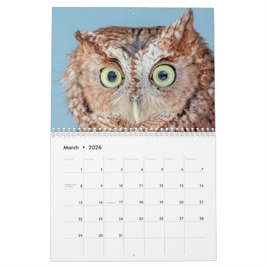Vogels in het wild 2026 kalender (Mar 2026)