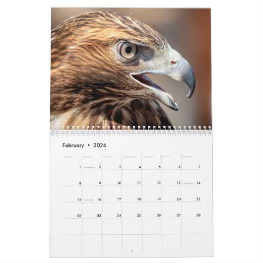 Vogels in het wild 2026 kalender (Feb 2026)
