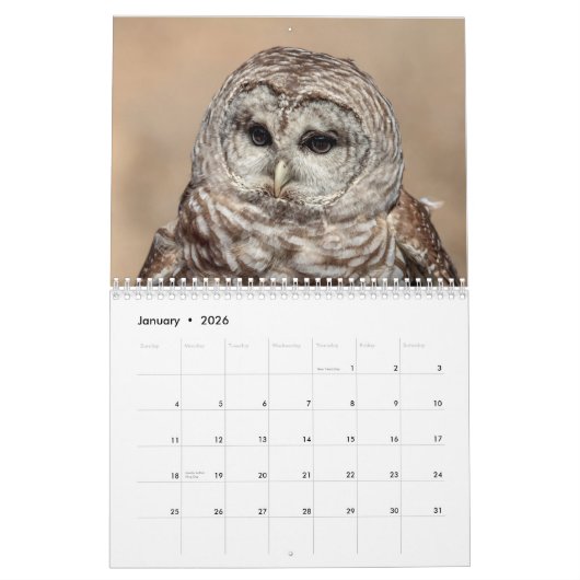 Vogels in het wild 2026 kalender (Jan 2026)