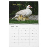 Vogels in het wild kalender (Mar 2027)