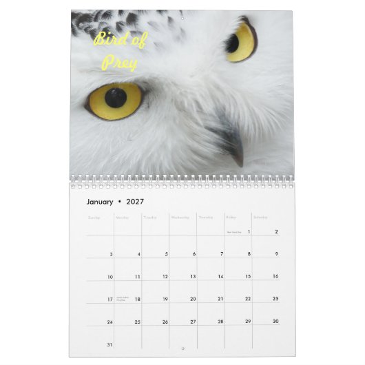 Vogels in het wild kalender (Jan 2027)