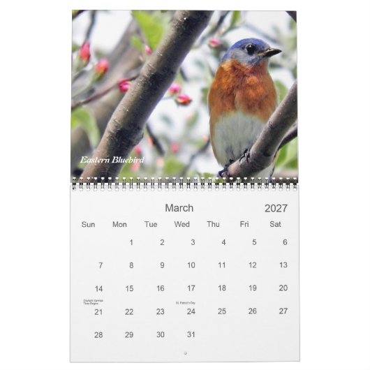 Vogels in je achtertuin kalender (Mar 2027)