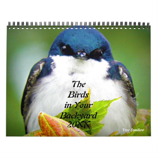 Vogels in je achtertuin kalender (Hoes)