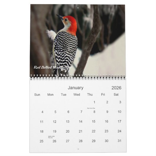 Vogels in je achtertuin kalender (Jan 2026)