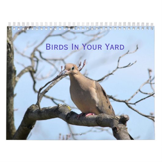 Vogels in je kalender (Hoes)