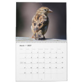 Vogels in je kalender (Mar 2027)