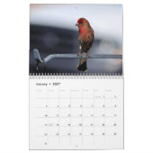 Vogels in je kalender (Jan 2027)