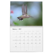 Vogels in je kalender (Feb 2027)
