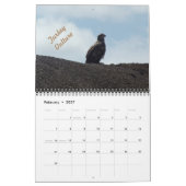 Vogels in Minnesota 2025 Kalender (Feb 2027)