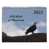 Vogels in Minnesota 2025 Kalender (Hoes)
