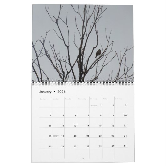 Vogels in Minnesota 2025 Kalender (Jan 2026)