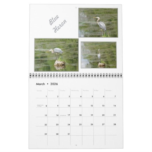 Vogels in Minnesota 2025 Kalender (Mar 2026)