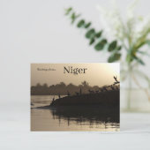 Vogels in Niamey Niger Briefkaart (Staand voorkant)