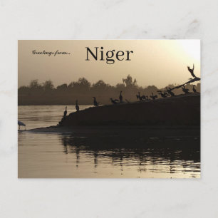 Vogels in Niamey Niger Briefkaart