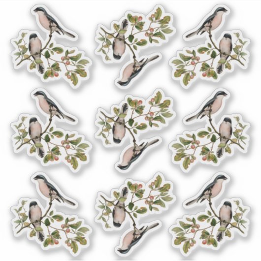 vogels in rode bessen sticker (Voorkant)