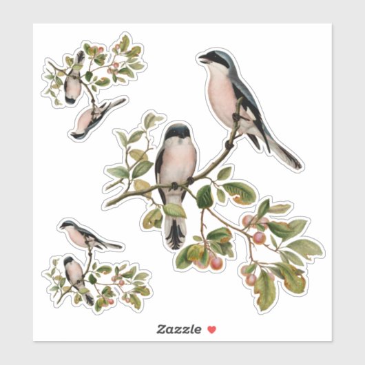   vogels in rode bessen sticker (Vel)