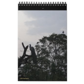 Vogels in Silhouette 2026 Wildlife Natuur Foto Kalender (Mar 2026)