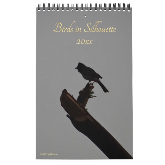 Vogels in Silhouette 2026 Wildlife Natuur Foto Kalender (Hoes)