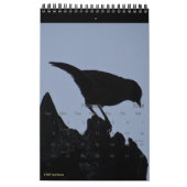 Vogels in Silhouette 2026 Wildlife Natuur Foto Kalender (Feb 2026)