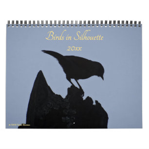 Vogels in Silhouette Natuur Fotografie 2026 Foto Kalender