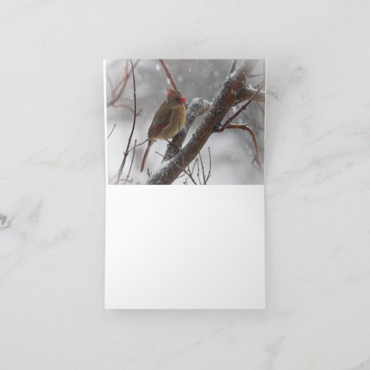 Vogels in sneeuw kaart (Binnen)