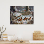 Vogels in sneeuw poster (Keuken)