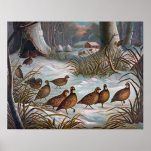 Vogels in sneeuw poster