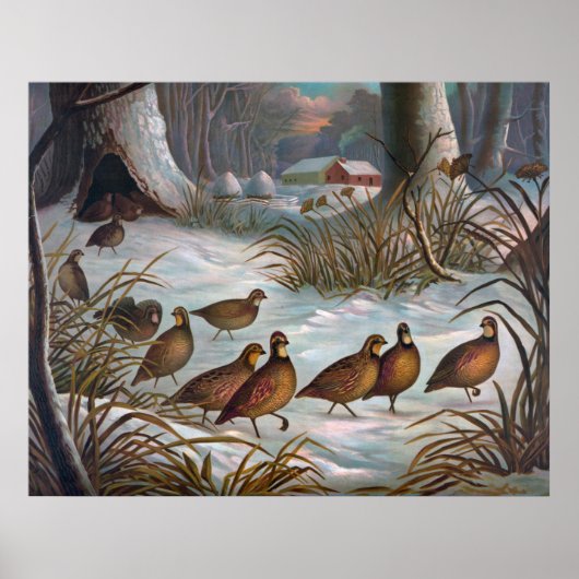 Vogels in sneeuw poster (Voorkant)