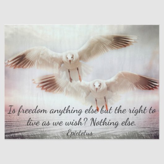 Vogels in vliegweefselpapier tissuepapier (Voorkant)