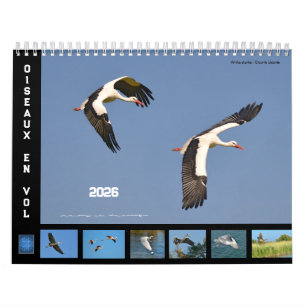Vogels in vlucht 12-maandenkalender kalender