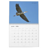 Vogels in vlucht 12-maandenkalender kalender (Jan 2026)