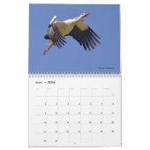 Vogels in vlucht 12-maandenkalender kalender (Mar 2026)