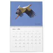 Vogels in vlucht 12-maandenkalender kalender (Mar 2026)