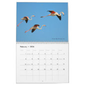 Vogels in vlucht 12-maandenkalender kalender (Feb 2026)