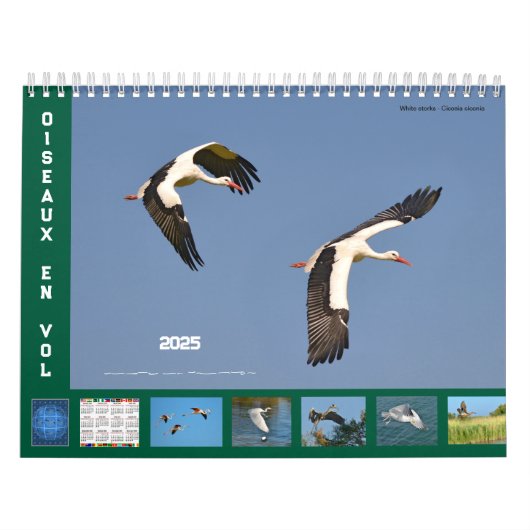 Vogels in vlucht 12-maandenkalender kalender (Hoes)