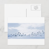 Vogels in Vlucht Briefkaart (Voorkant / Achterkant)