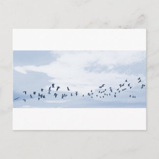 Vogels in Vlucht Briefkaart