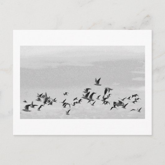 Vogels in vlucht briefkaart (Voorkant)