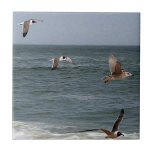 Vogels in vlucht door Shirley Taylor Tegeltje