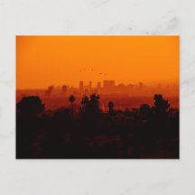 Vogels in vlucht (Los Angeles, CA)