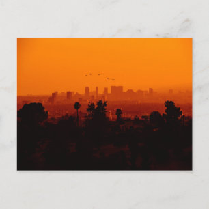 Vogels in vlucht (Los Angeles, CA) Briefkaart