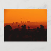 Vogels in vlucht (Los Angeles, CA) Briefkaart (Voorkant)