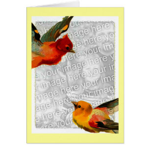 Vogels, je foto hier