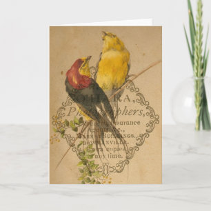 vogels kaart