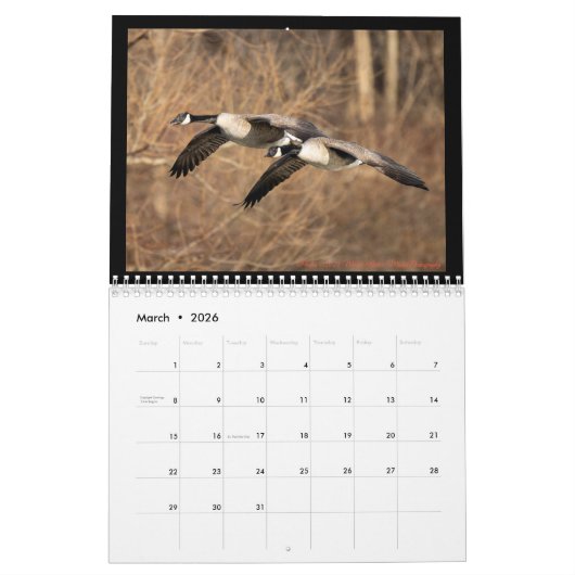 vogels kalender (Mar 2026)