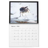 vogels kalender (Feb 2026)