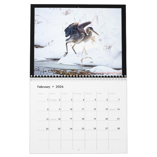 vogels kalender (Feb 2026)