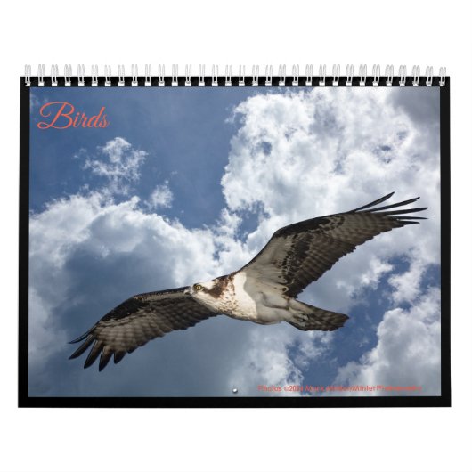 vogels kalender (Hoes)